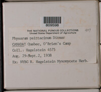 Image Associated With the Occurence